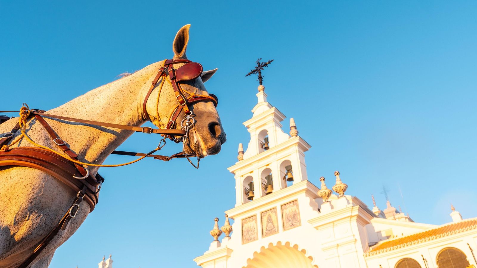 El Rocío y sus caballos marismeños