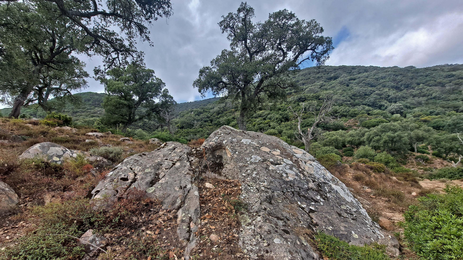 Fotos del sendero de la garganta del Rayo en Tarifa