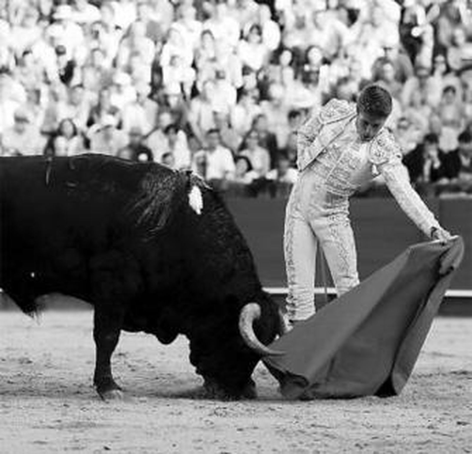 Escribano toreando al natural en la plaza de Sevilla el año pasado.