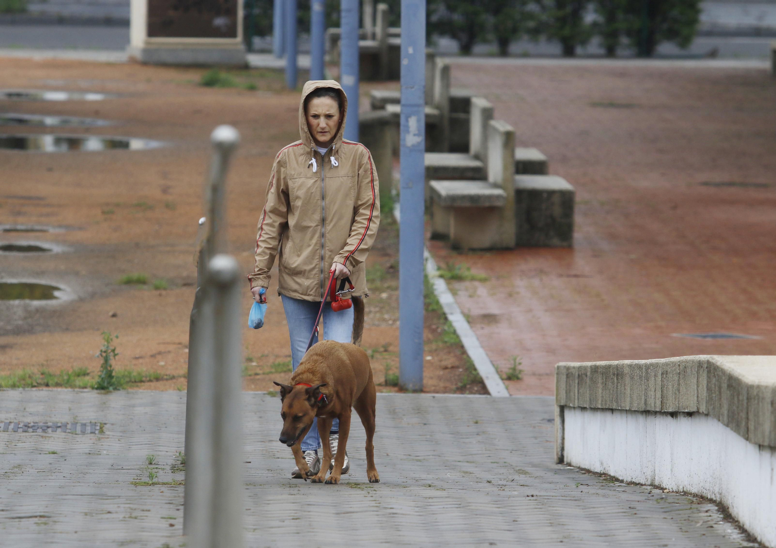Una mujer pasea a su perro por el Vial Norte de Córdoba. Una mujer pasea a su perro por el Vial Norte de Córdoba.