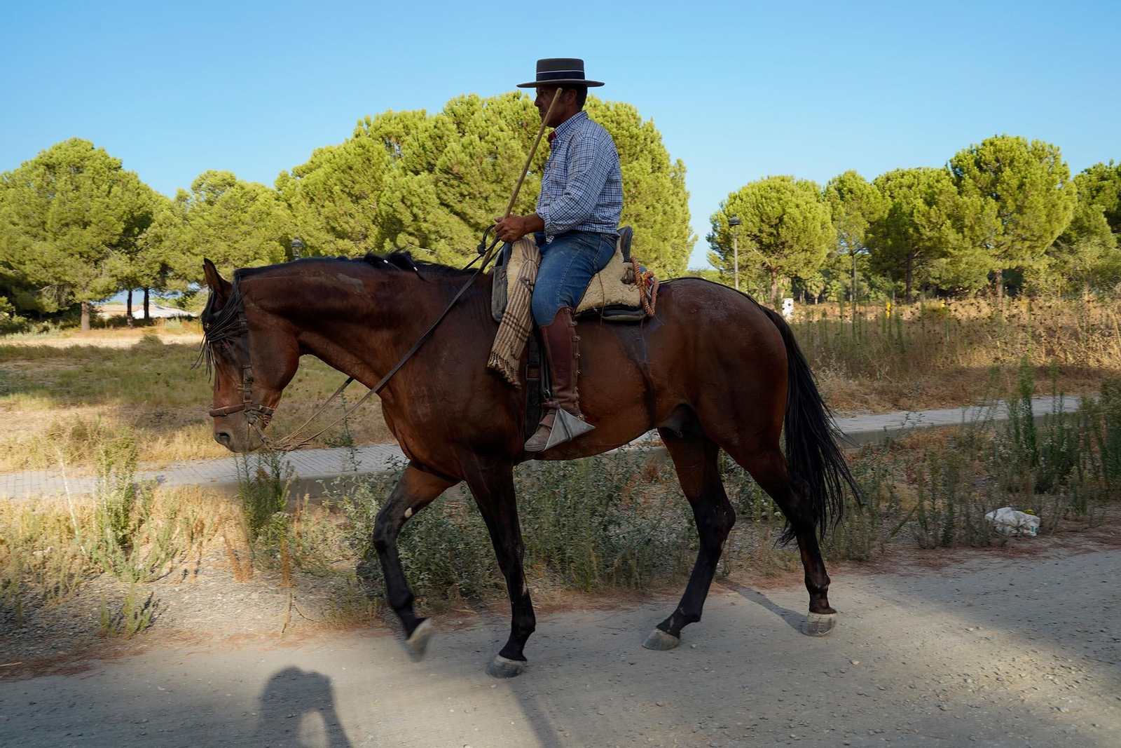 Las imágenes más destacas de la recogida de las yeguas en Hinojos