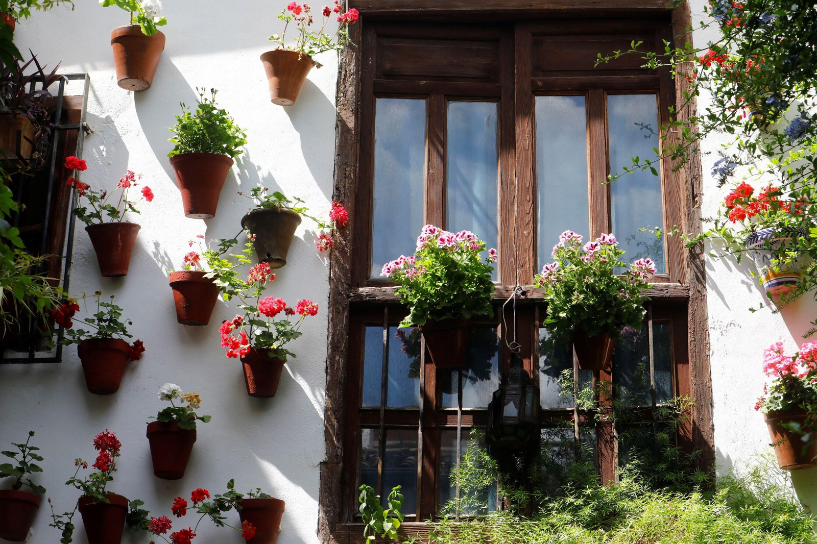 Los patios de Córdoba de la ruta Judería-San Francisco, en imágenes