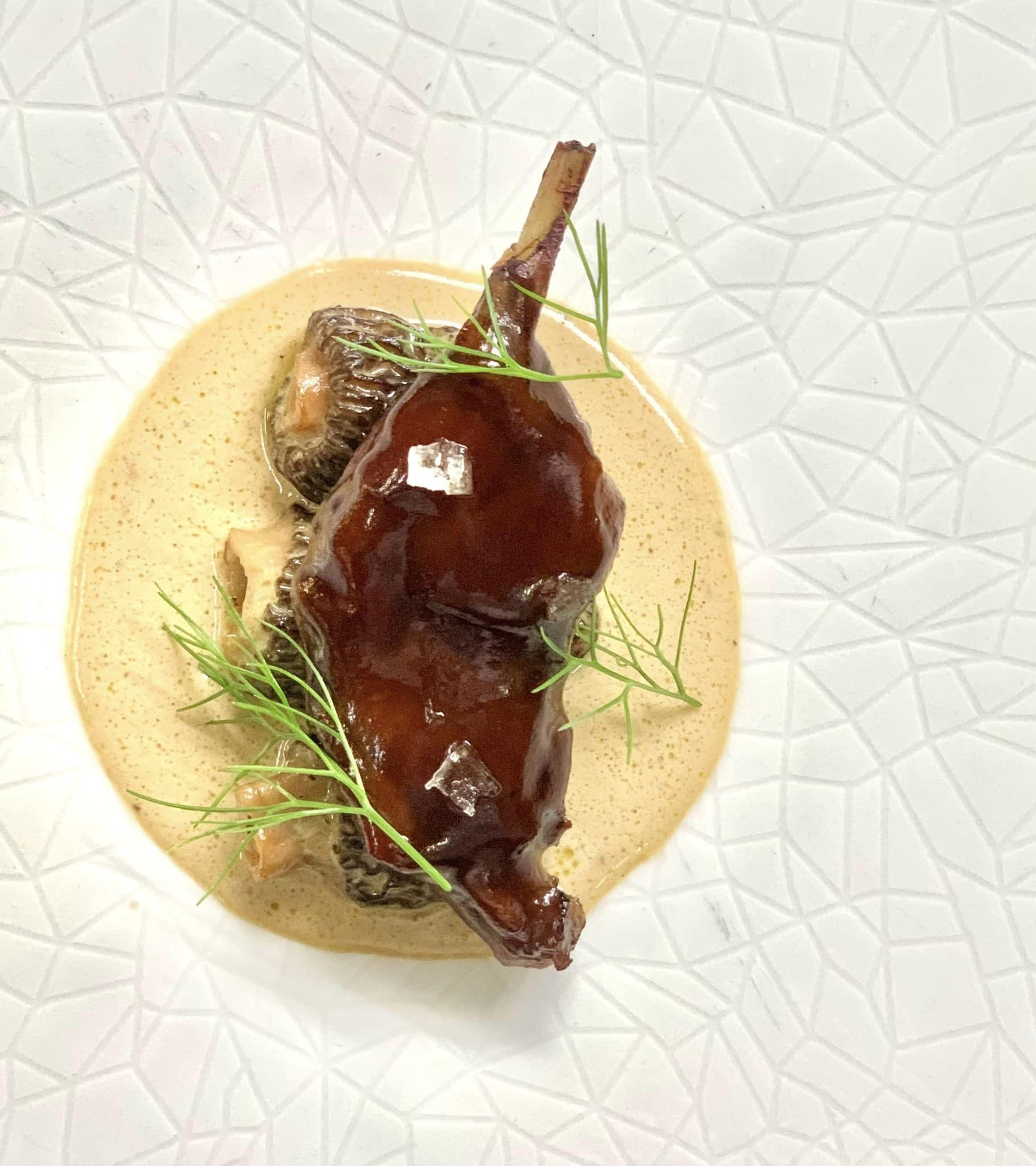 Pato azulón con colmenillas a la crema