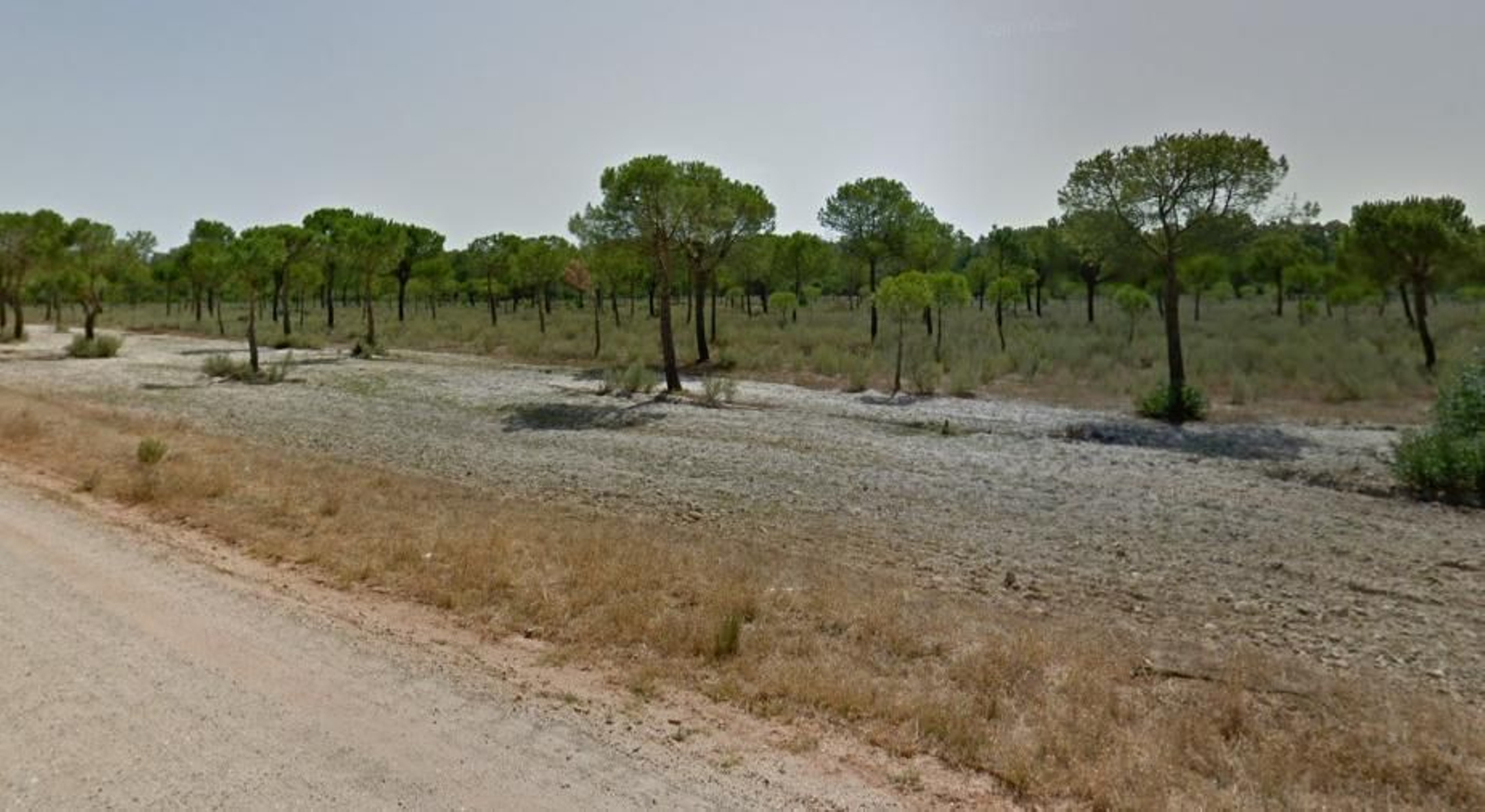 Punto donde se produjo la agresión.