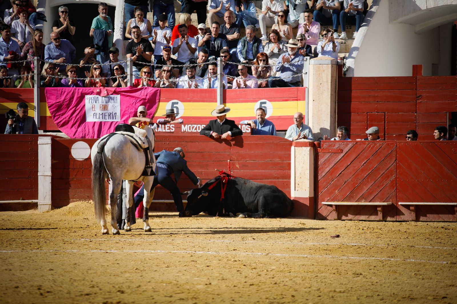 Imágenes del festival mixto lucha contra el cáncer
