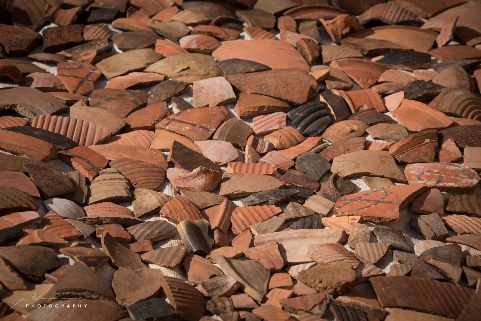 La novena campaña del Proyecto Qubbet El-Hawa, en imágenes