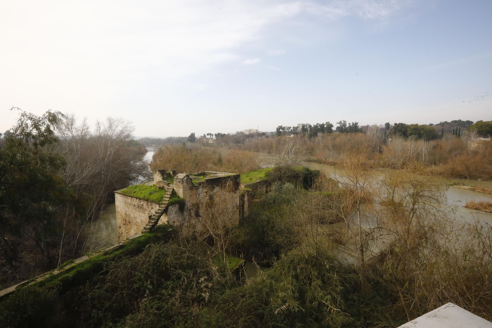 Historia de los molinos del Guadalquivir cordobés en fotografías