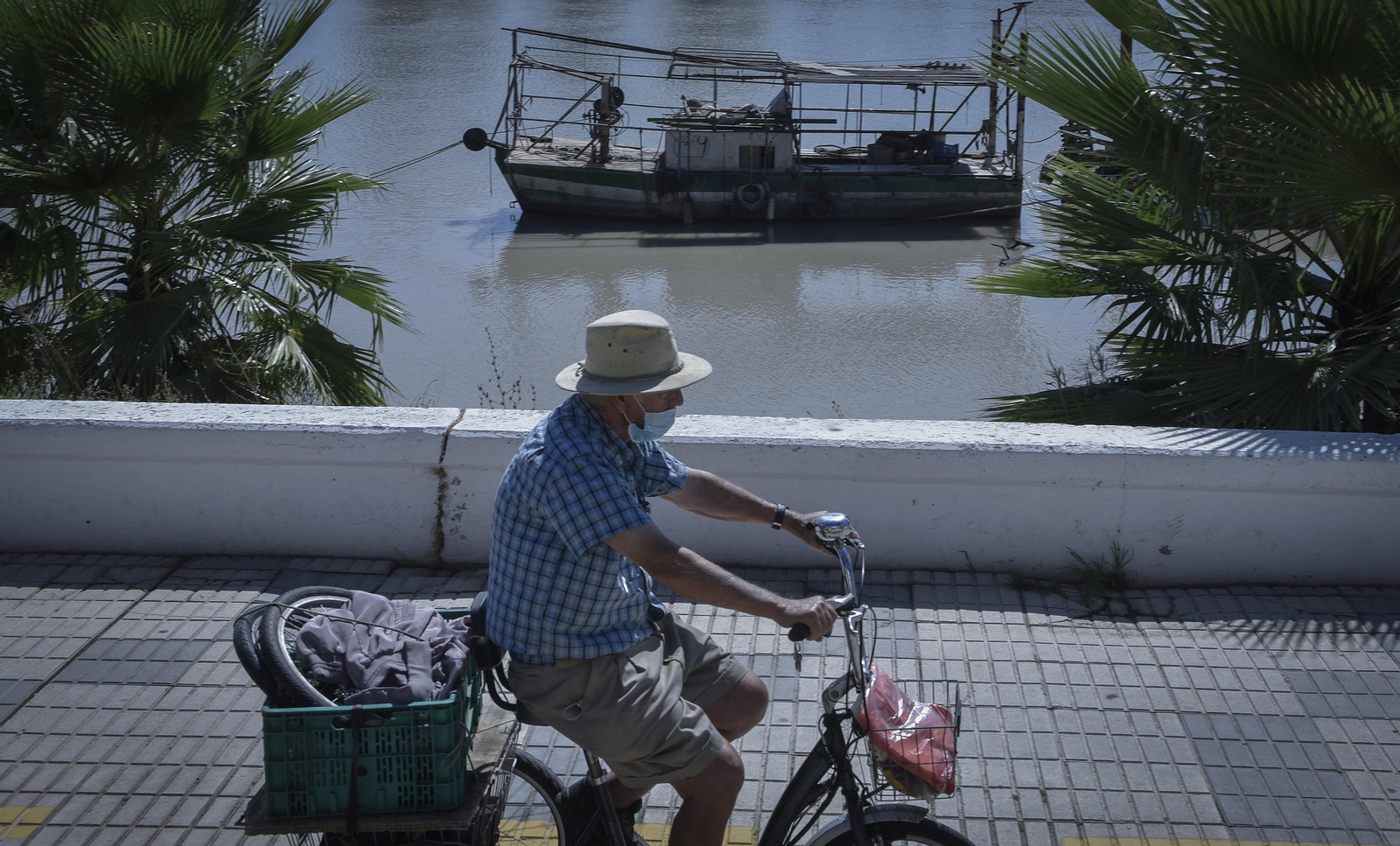 Virus del Nilo: la resistencia en los vecinos de Coria y Puebla del Río