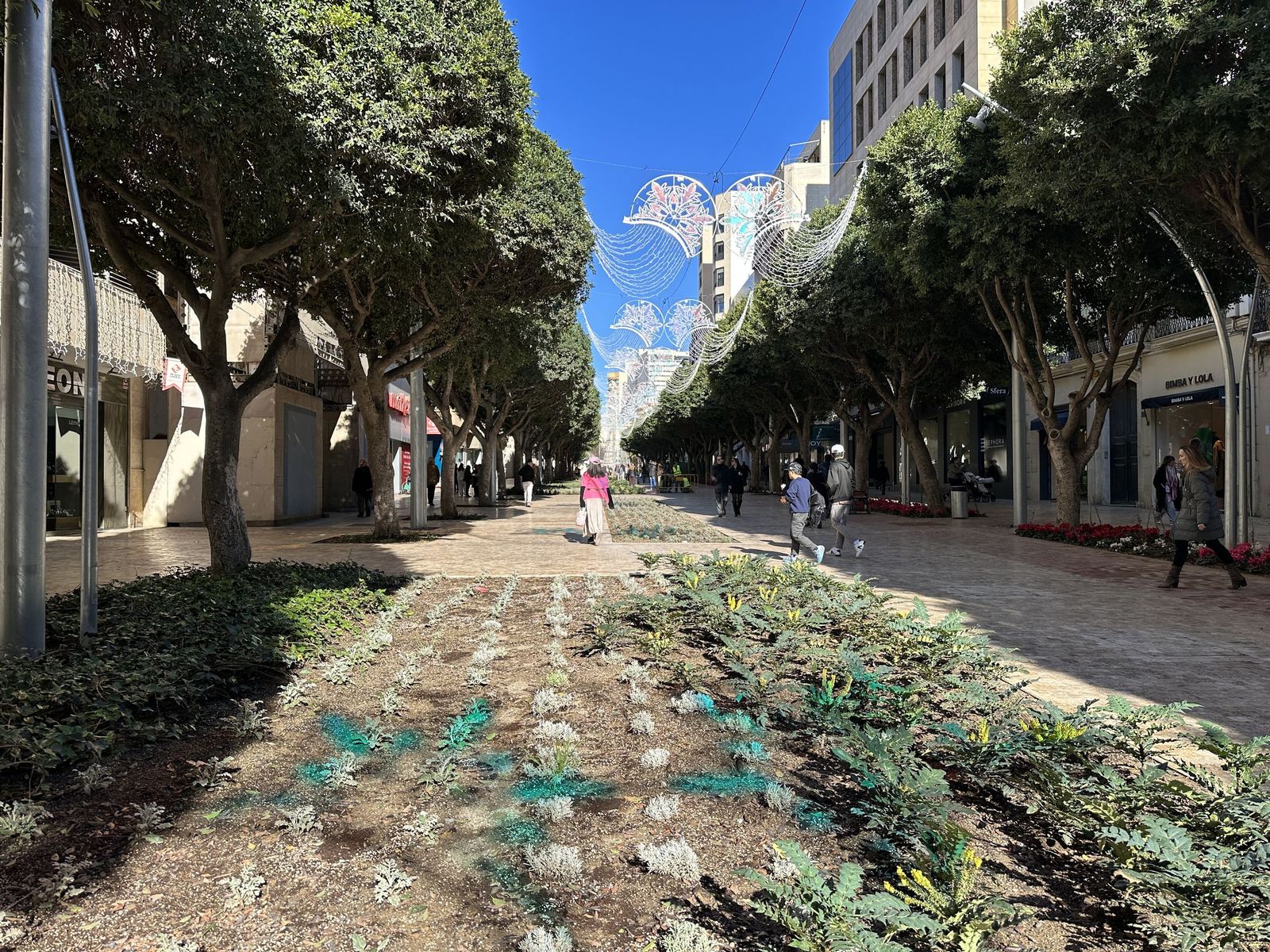 Parterres en el Paseo de Almería.