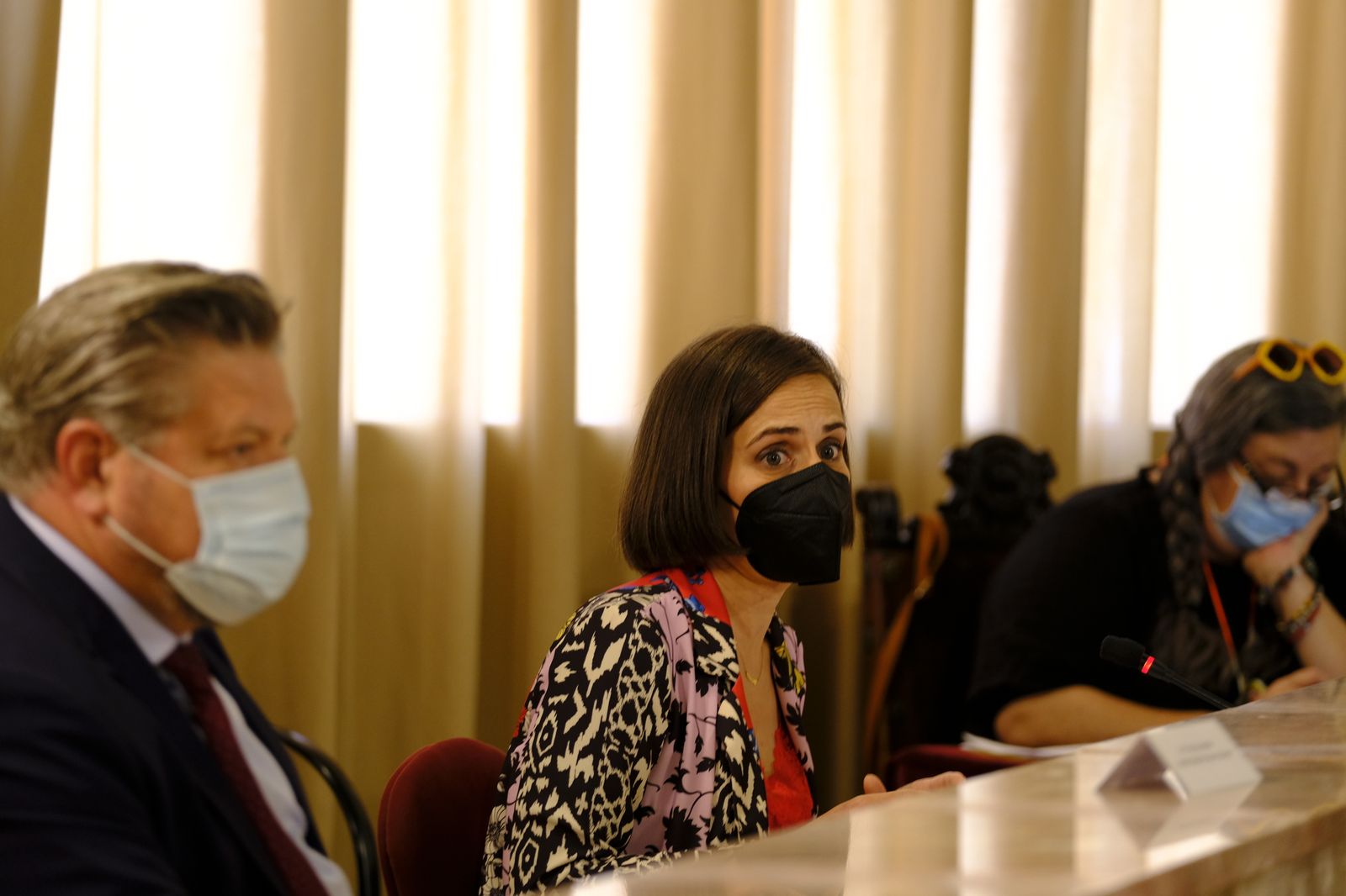 Fotogalería pleno ordinario del Ayuntamiento de Almería