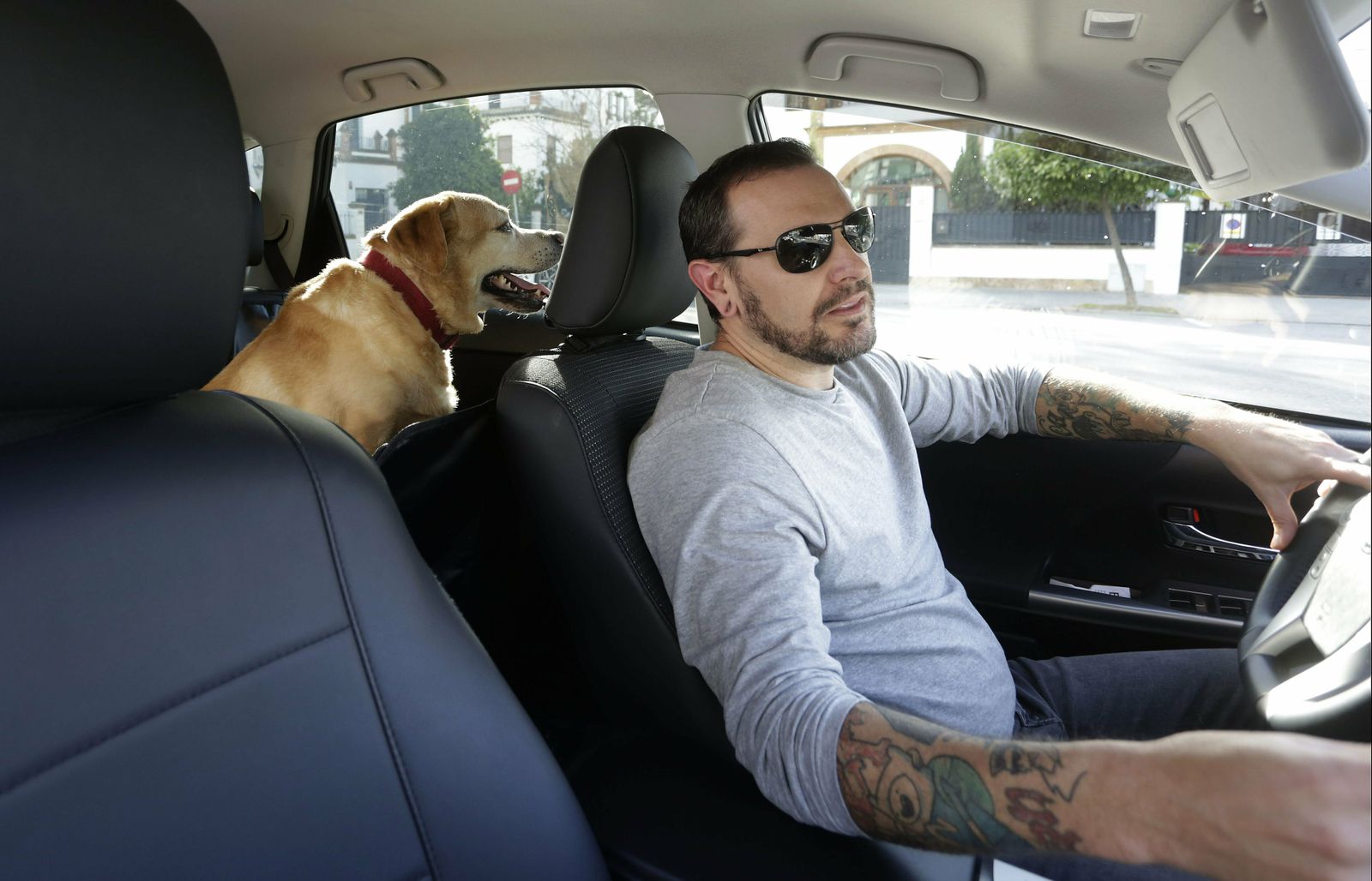 El servicio de taxi para mascostas, operativo en Sevilla.