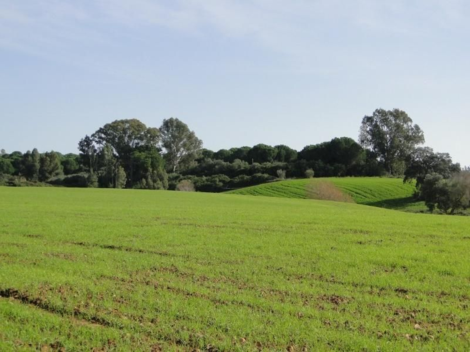 Pasada del Boyal- La Suara