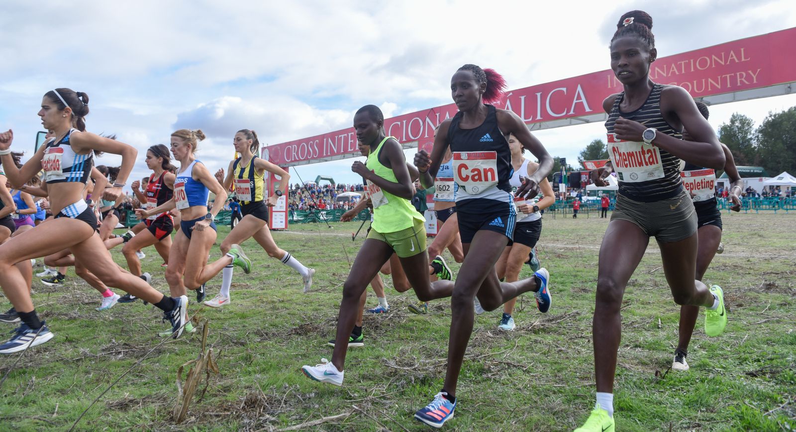 Las imágenes del Cross Internacional Itálica 2022