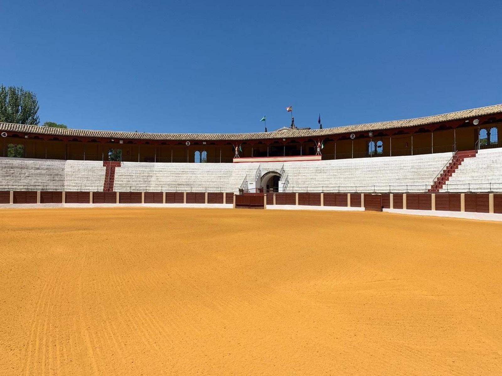 Cuatro museos taurinos para conocer la cultura del toro en Jaén