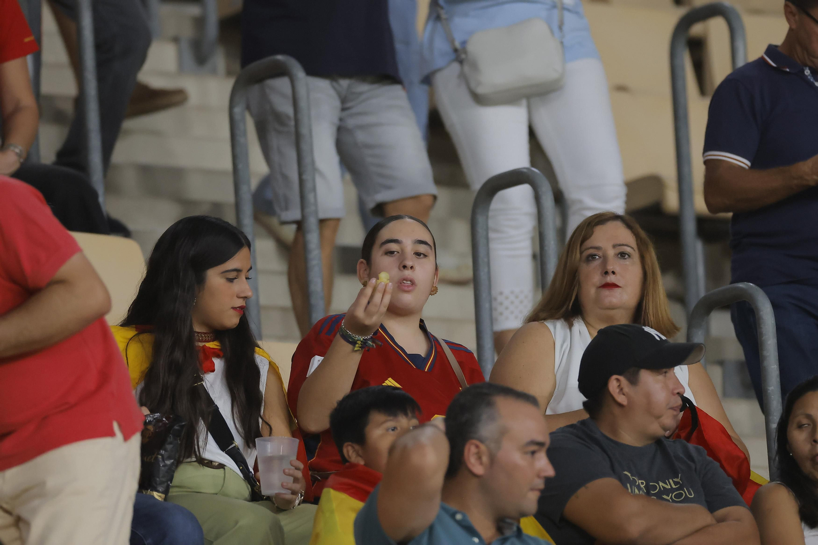 Búscate en las fotos del España-Escocia