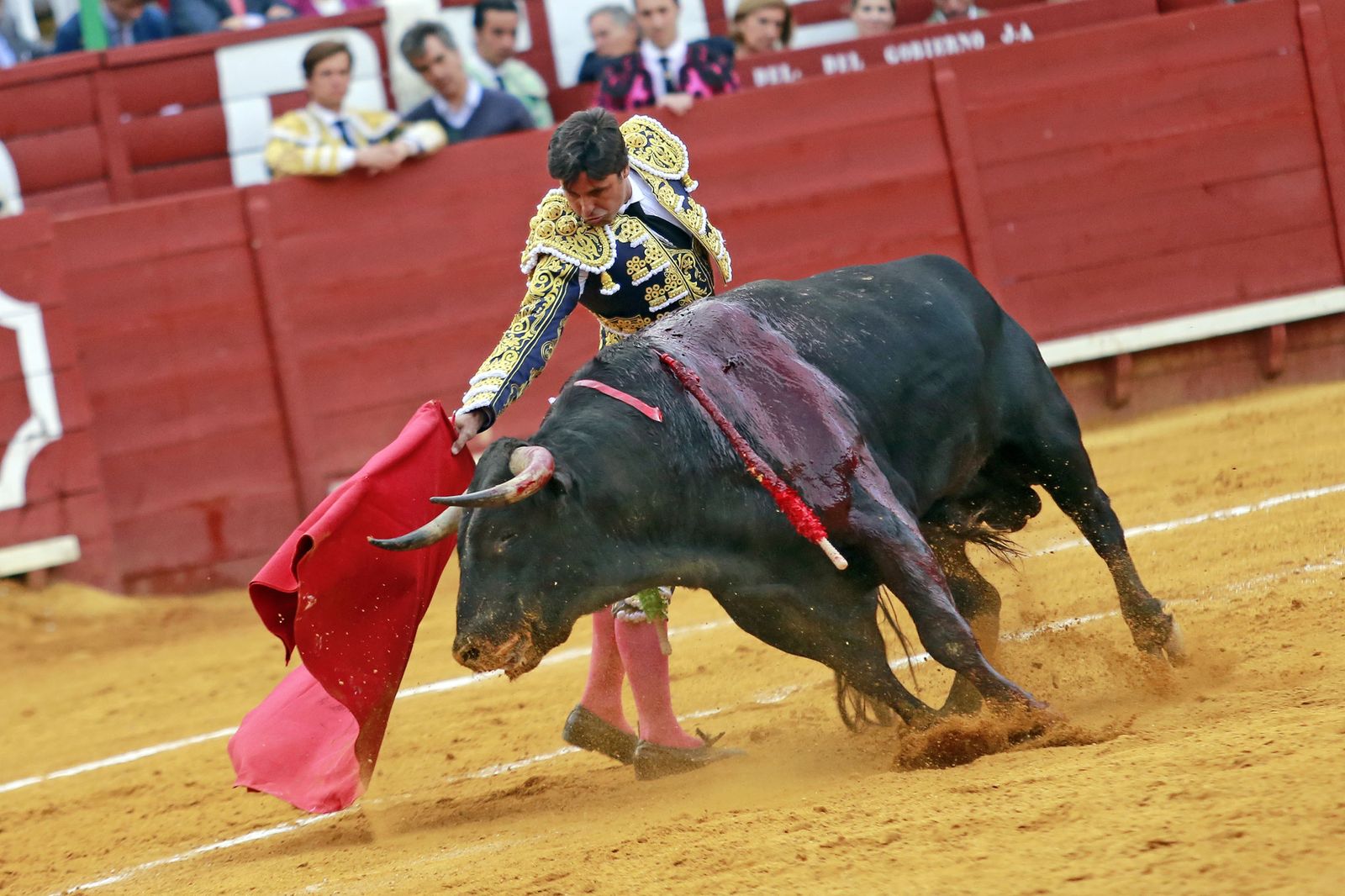 Corrida de toros de "Paquirri", Morante y "El Juli" en Jerez