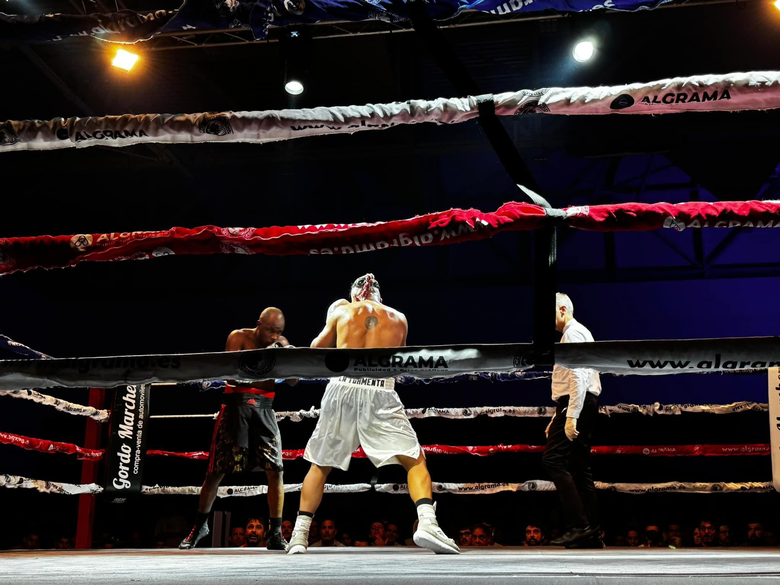 El boxeo enamora en una velada histórica en Jaén, en imágenes