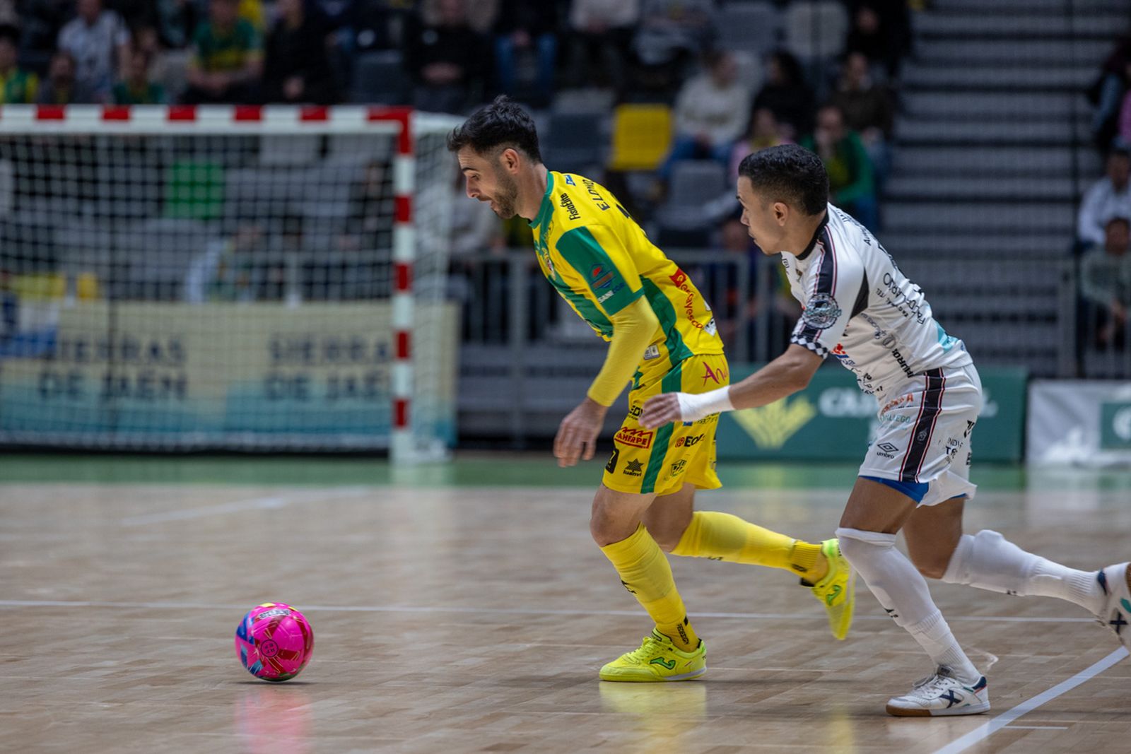 Las mejores imágenes de las tablas entre Jaén Paraíso Interior FS y Noia Portus Apostoli