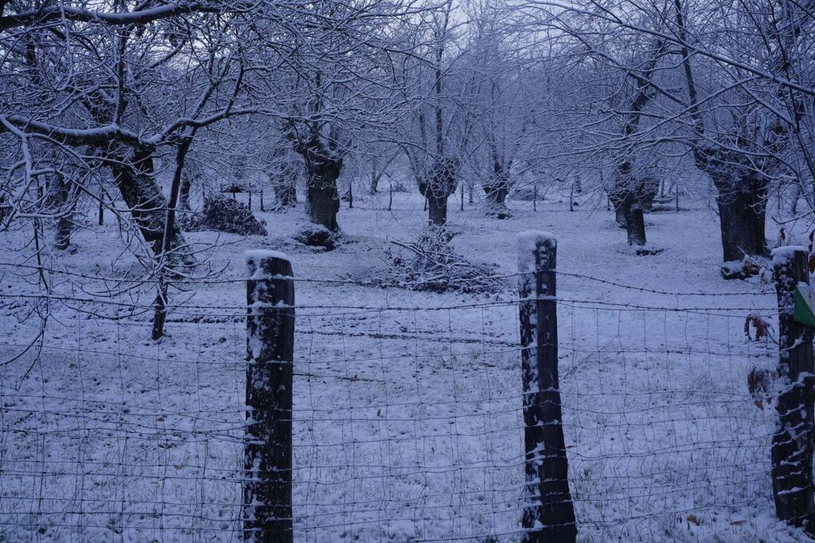Tres años de Filomena: Así de nevada y bonita quedó la Sierra de Aracena