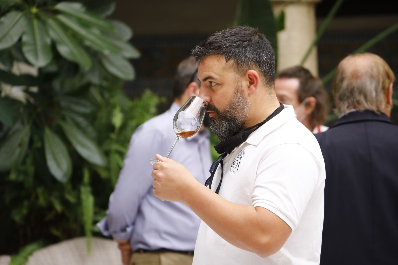 La jornada del vino en rama de las bodegas y lagares de Moriles y Montilla, en imágenes