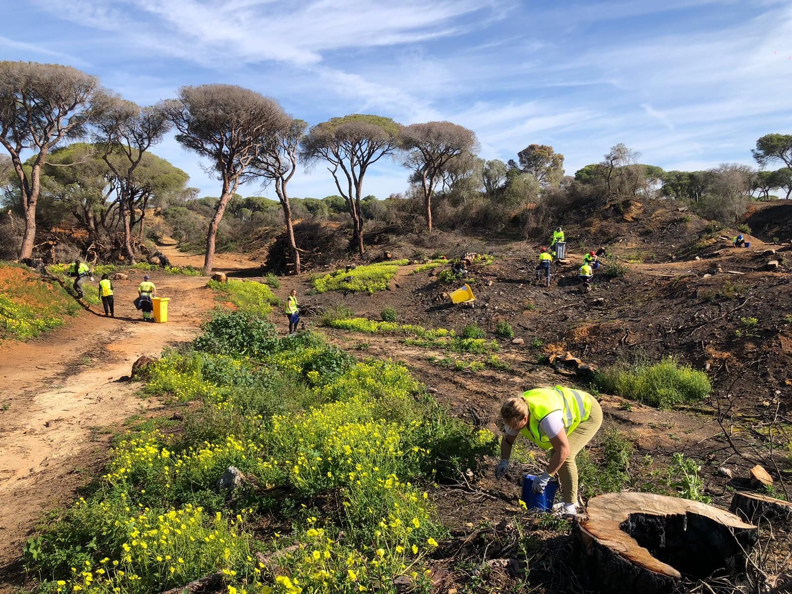 Una de las limpiezas que se han celebrado en Las Canteras