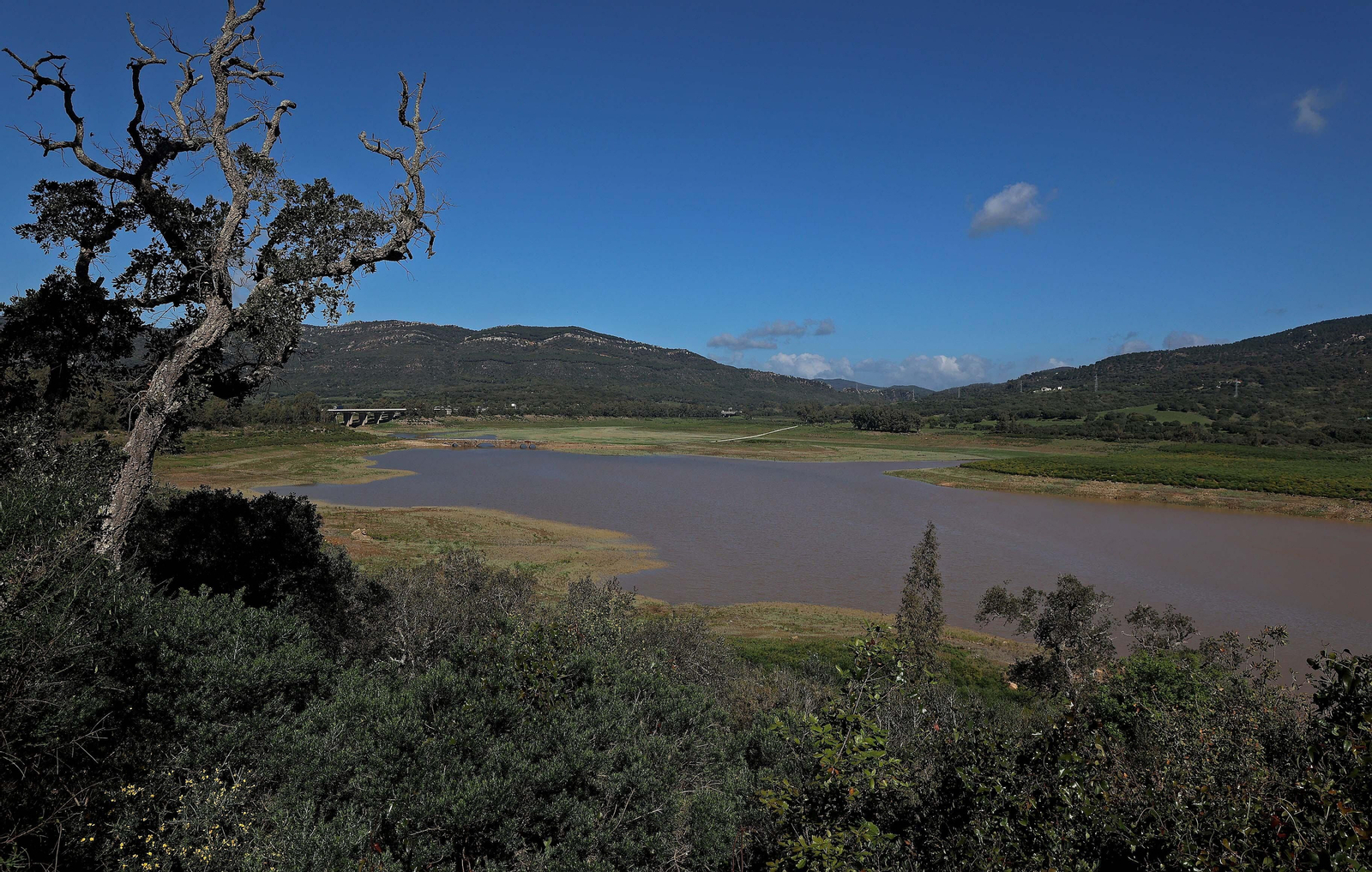 Imágenes del estado actual de los pantanos del Campo de Gibraltar