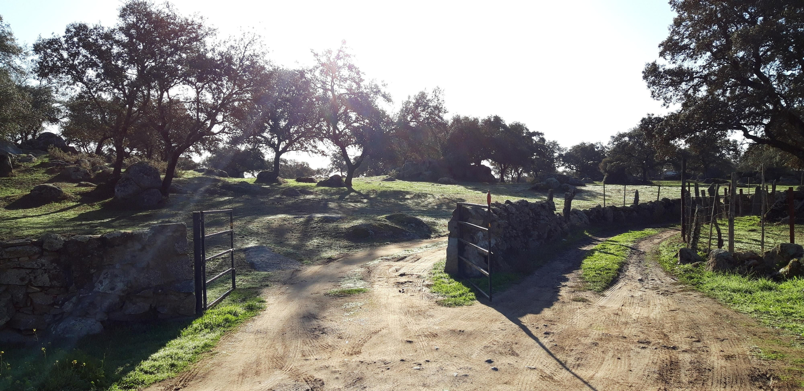 Las fotos de las ruta del Arroyo de las Cañas