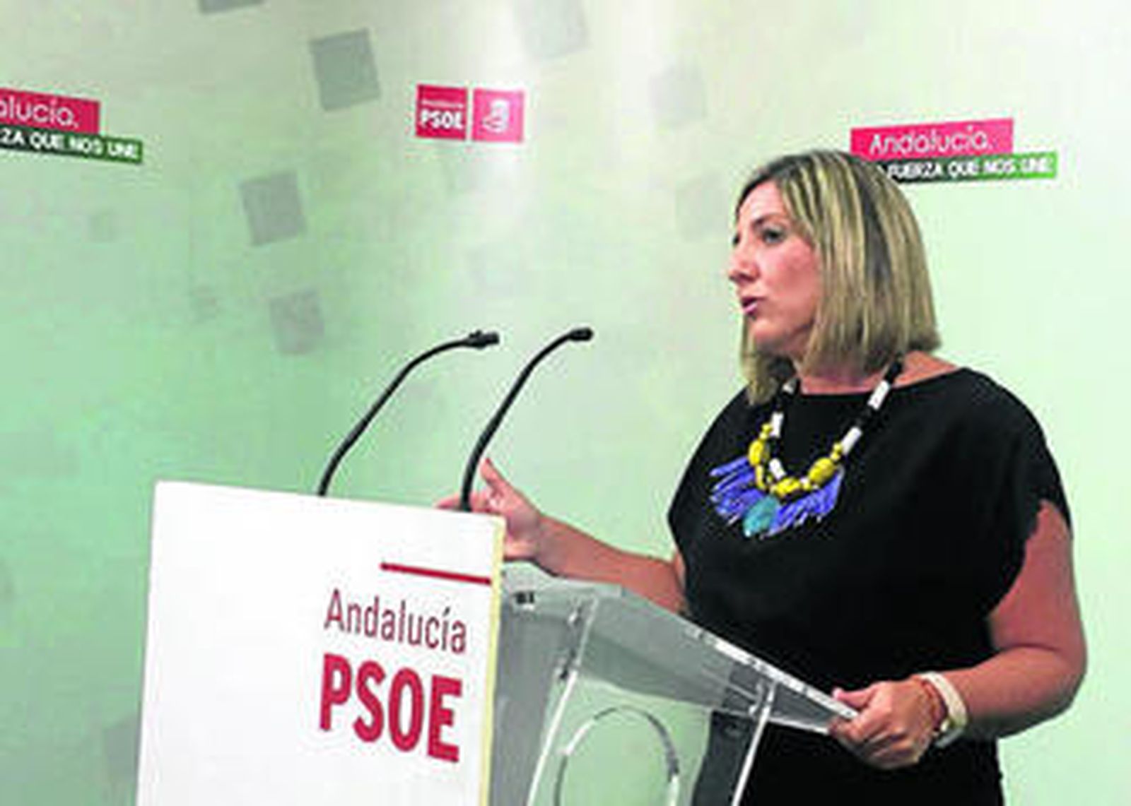 La secretaria general del PSOE de Cádiz, ayer durante la rueda de prensa para el nuevo curso político.