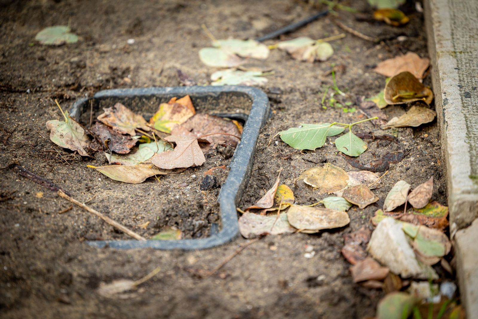 Las imágenes del mal estado de la Plaza de España en Cádiz