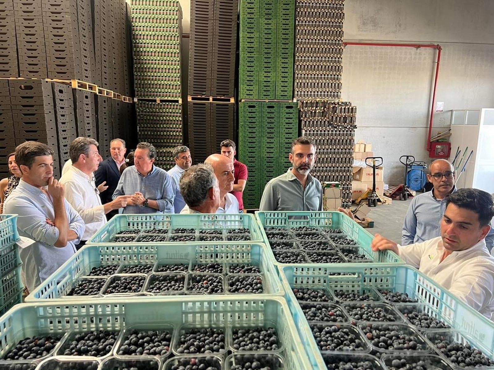 Lepe es un municipio pionero en la producción de berries