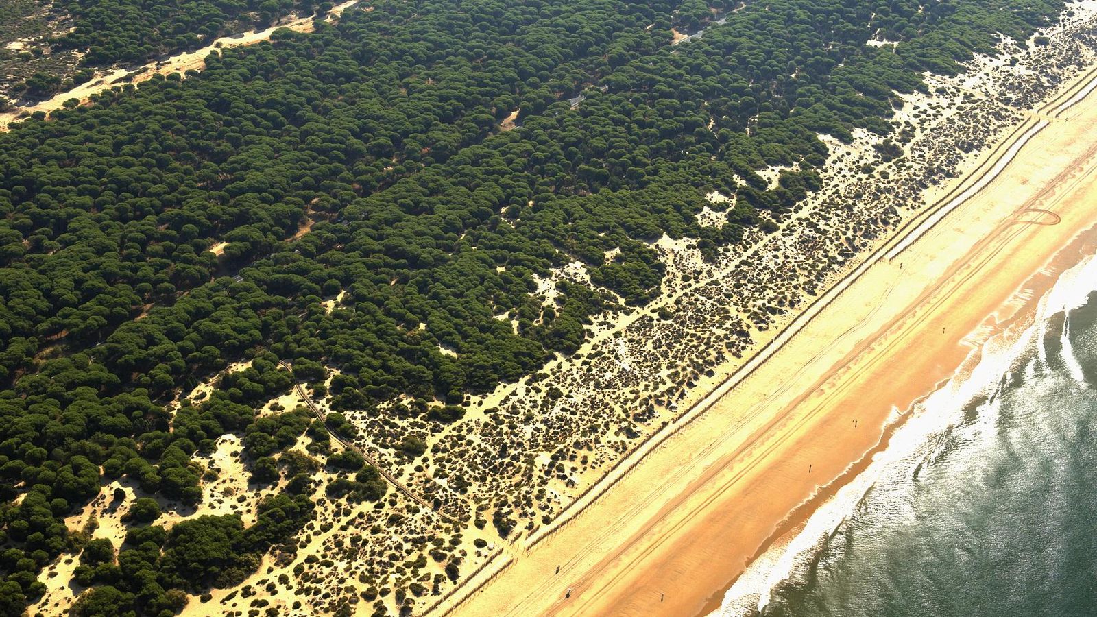 Punta Umbría goza de extensos kilómetros de costa para el disfrute de los visitantes.