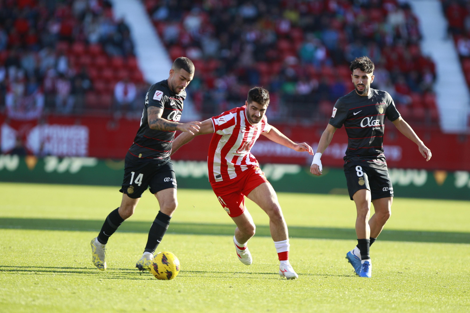Imágenes del partido U.D. Almería-R.C.D. Mallorca