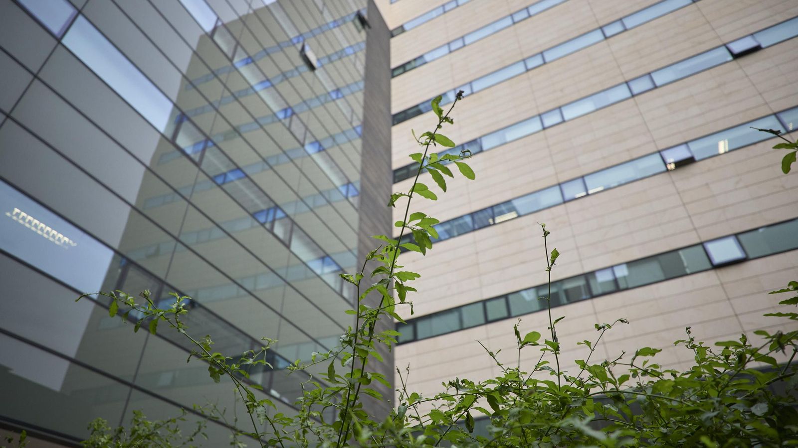 Jardín interior del Hospital Clínico de Granada