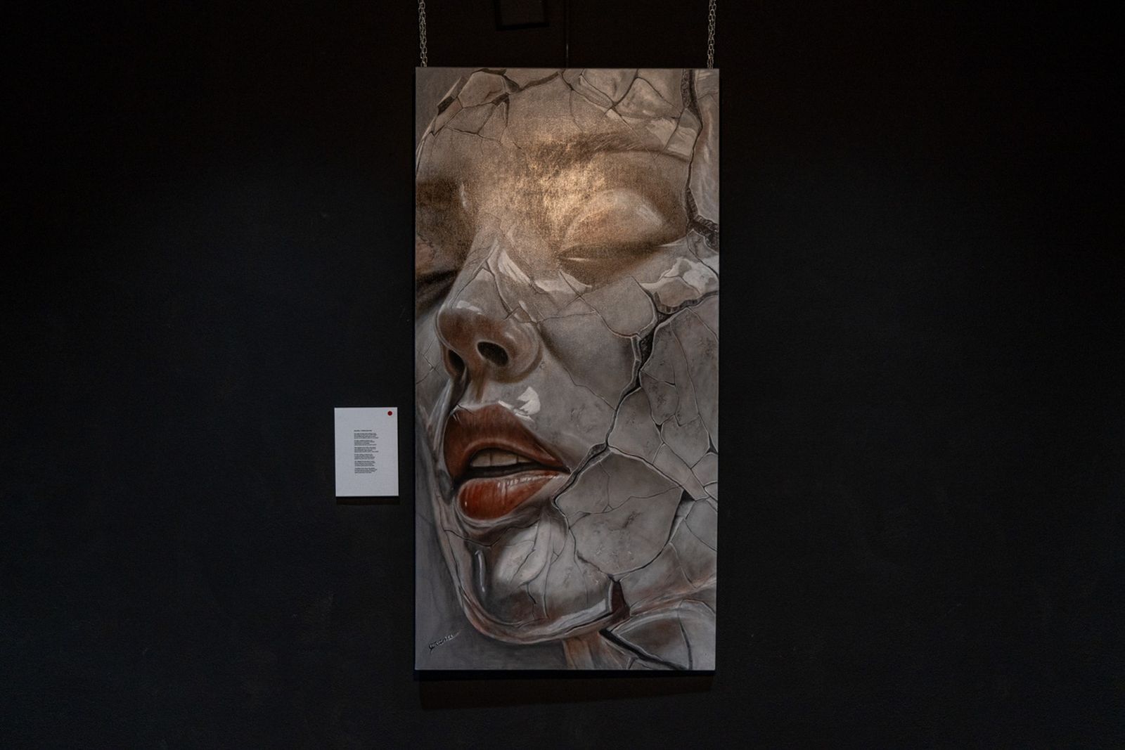 Las imágenes más impactantes de la exposición de Felipe Erena en Jaén, en imágenes