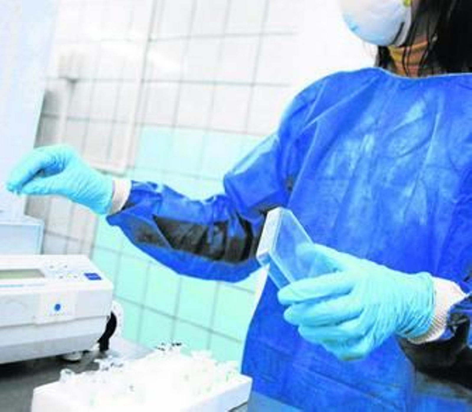 El uso de guantes es la otra norma esencial para frenar la transmisión de microorganismos.