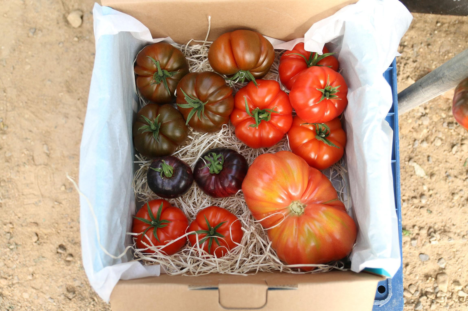Fotogalería de la presentación de Plataforma Tierra, de Cajamar e IBM