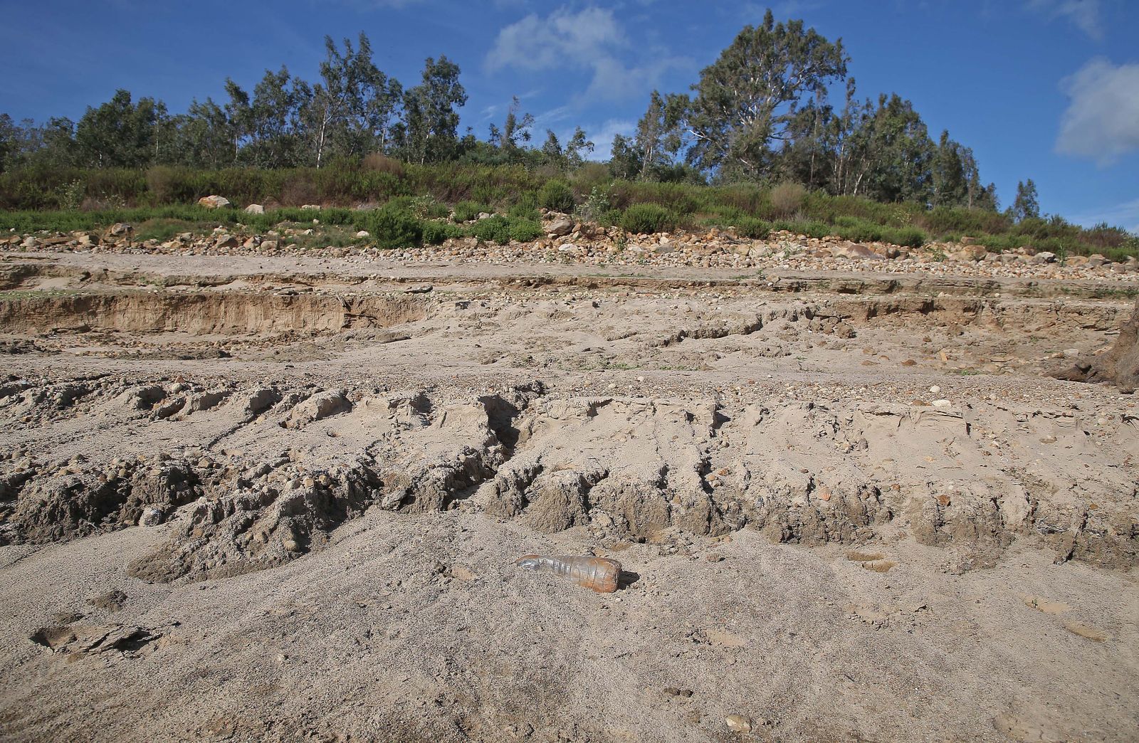 Imágenes del pantano de Charco Redondo en Los Barrios