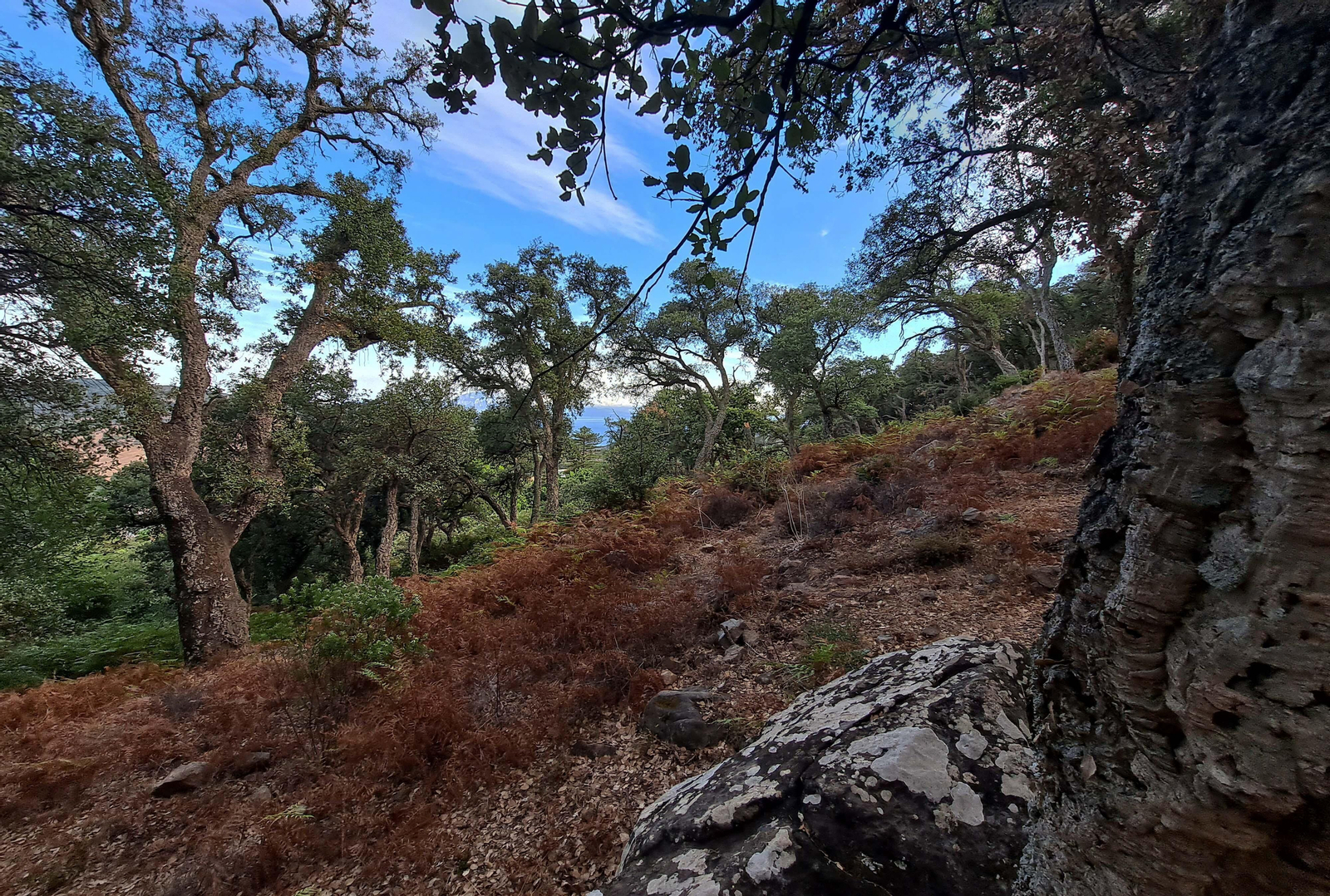 Fotos del sendero del Chorro de Pelayo en Algeciras