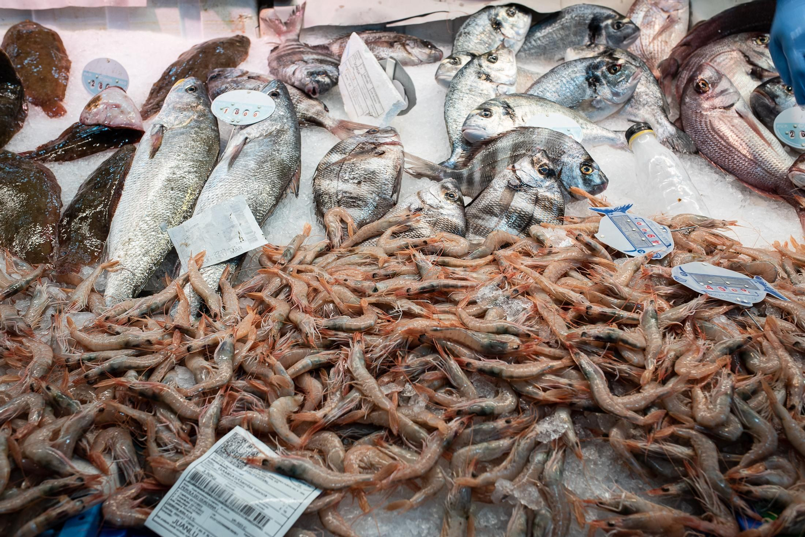 Las últimas compras en el Mercado del Carmen antes de Navidad, en imágenes