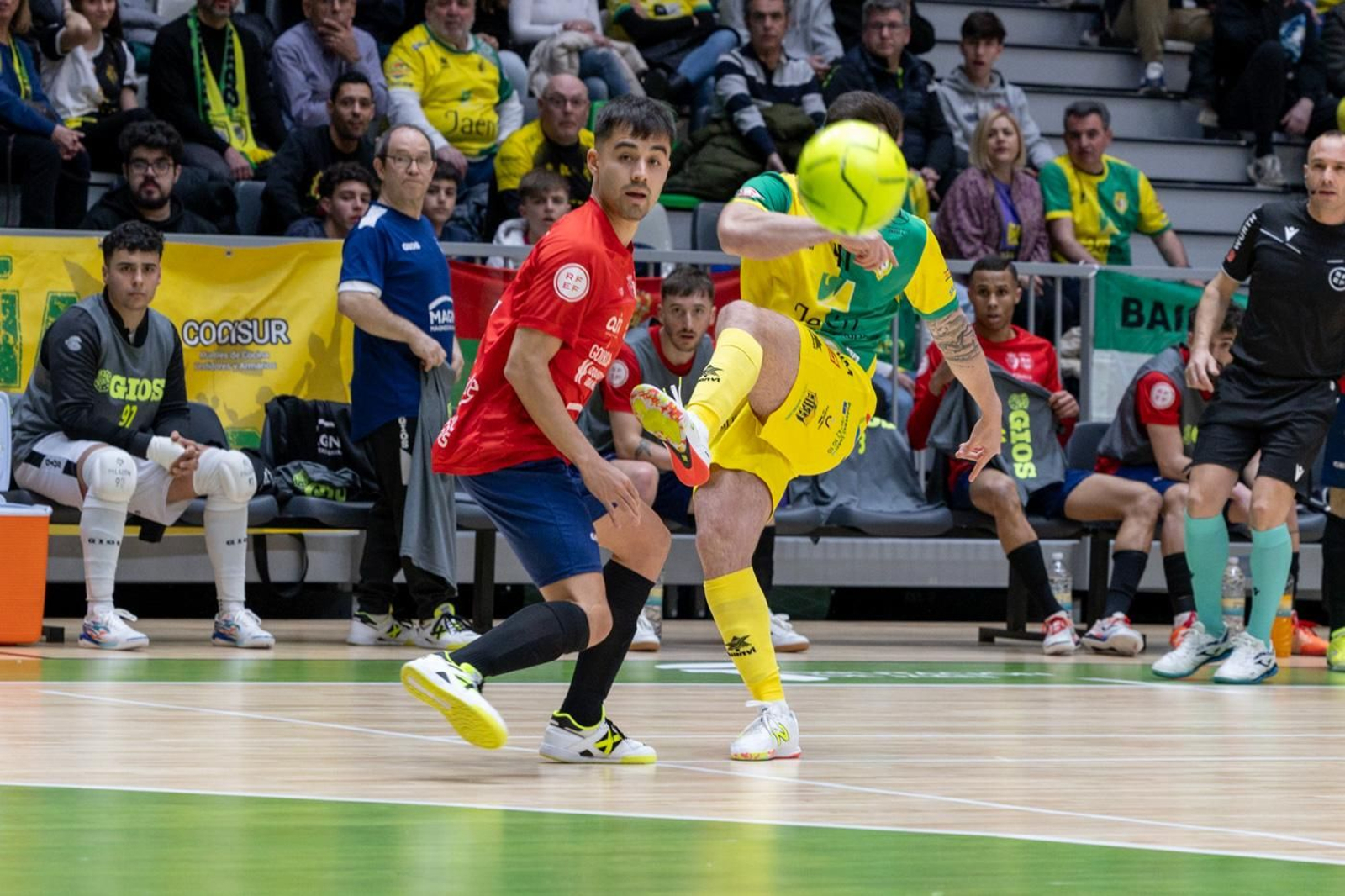 Las mejores fotos del triunfo del Jaén Paraíso Interior FS sobre Osasuna Magna Xota