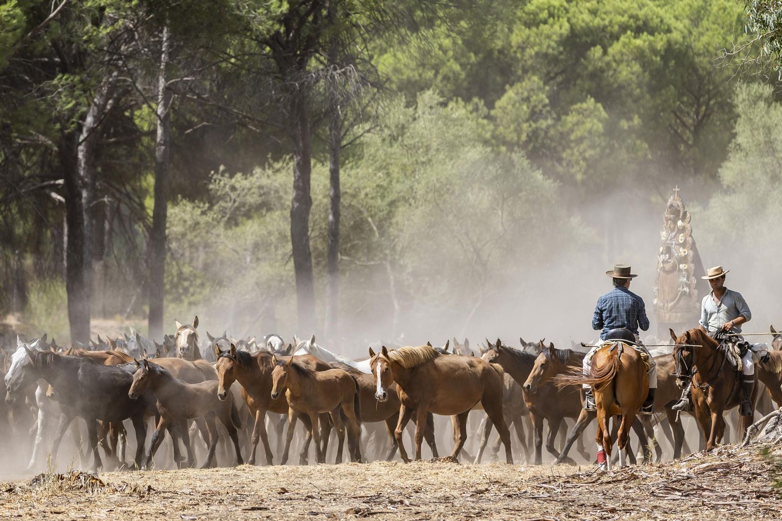Imágenes de la 'Recogida de las Yeguas' en Hinojos este domingo