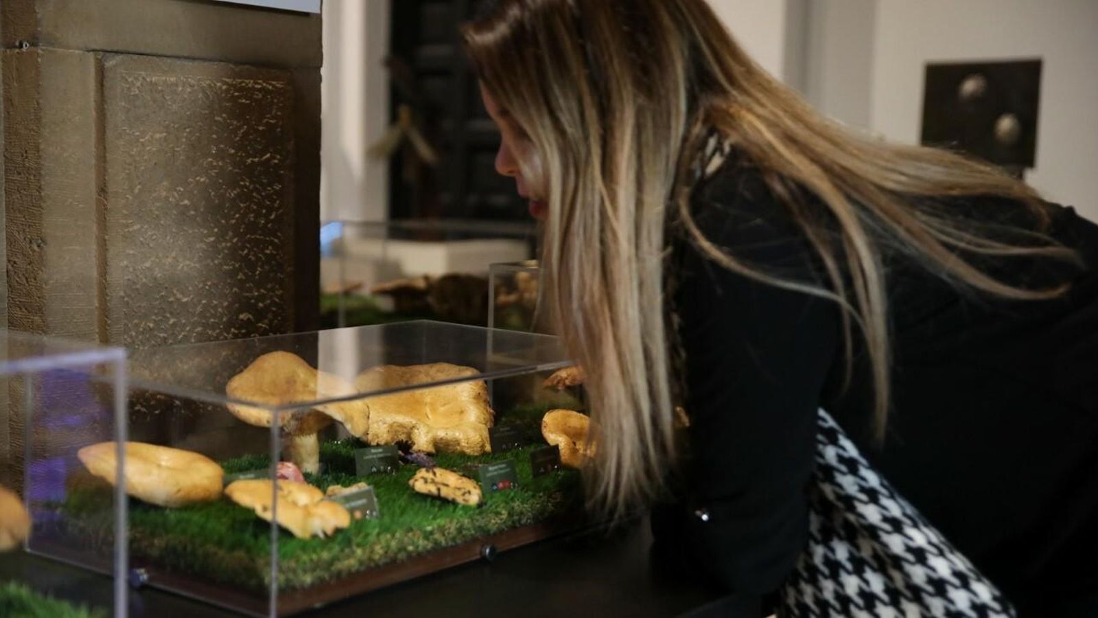 Una joven observa una de las setas que pueden verse en la exposición.