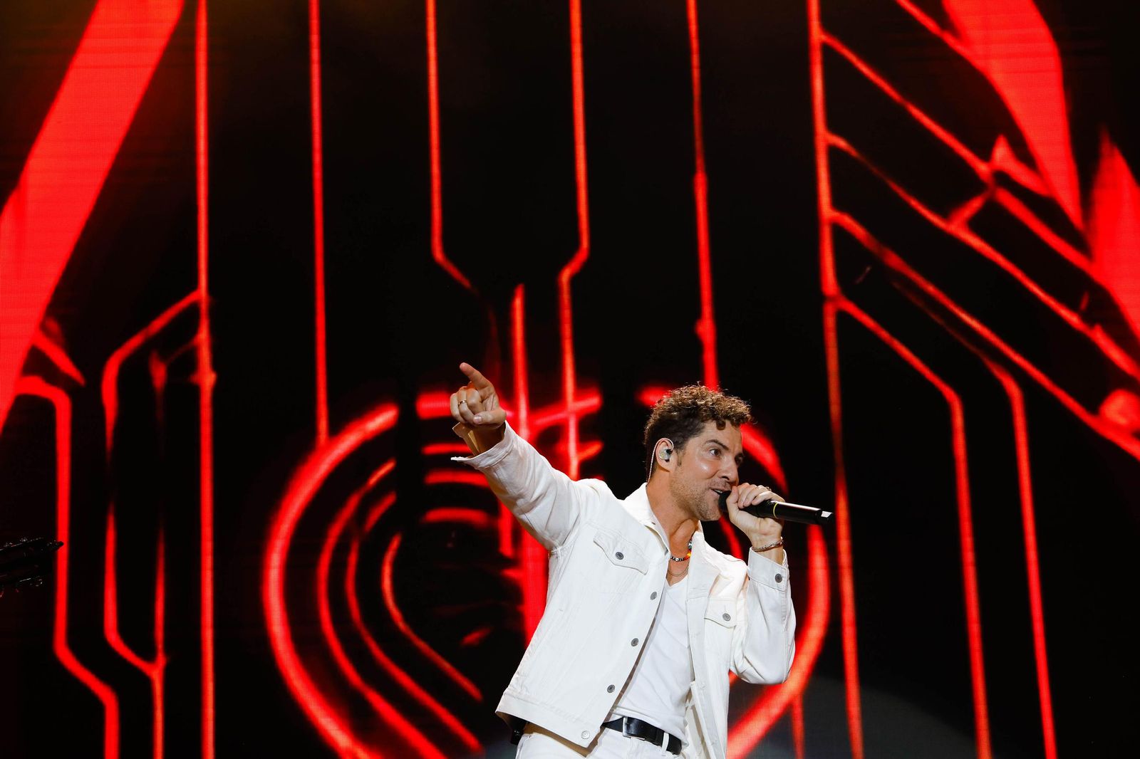 El concierto de David Bisbal, en imágenes