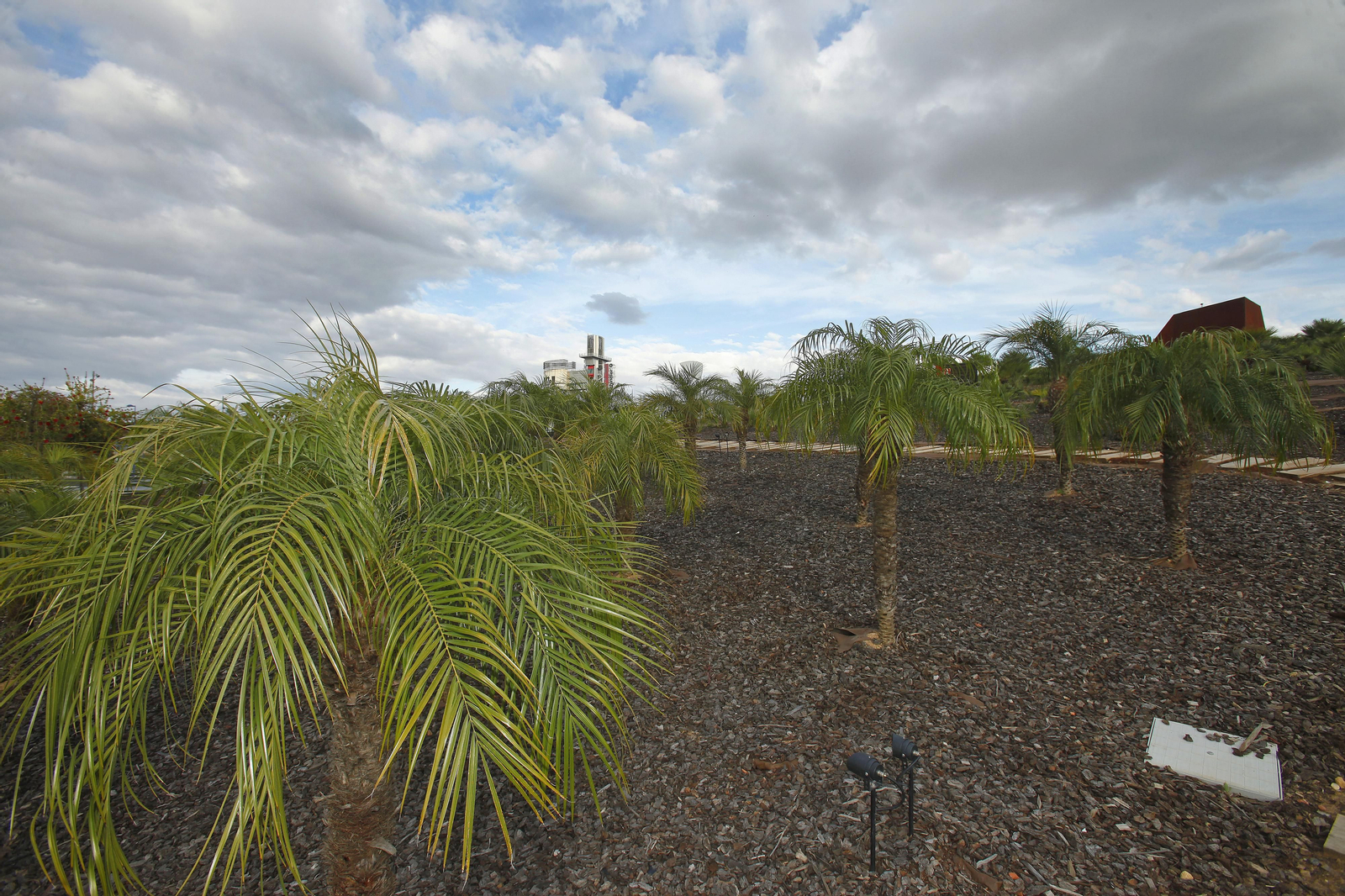 Las cubiertas vegetales del Centro Comercial Torre Sevilla