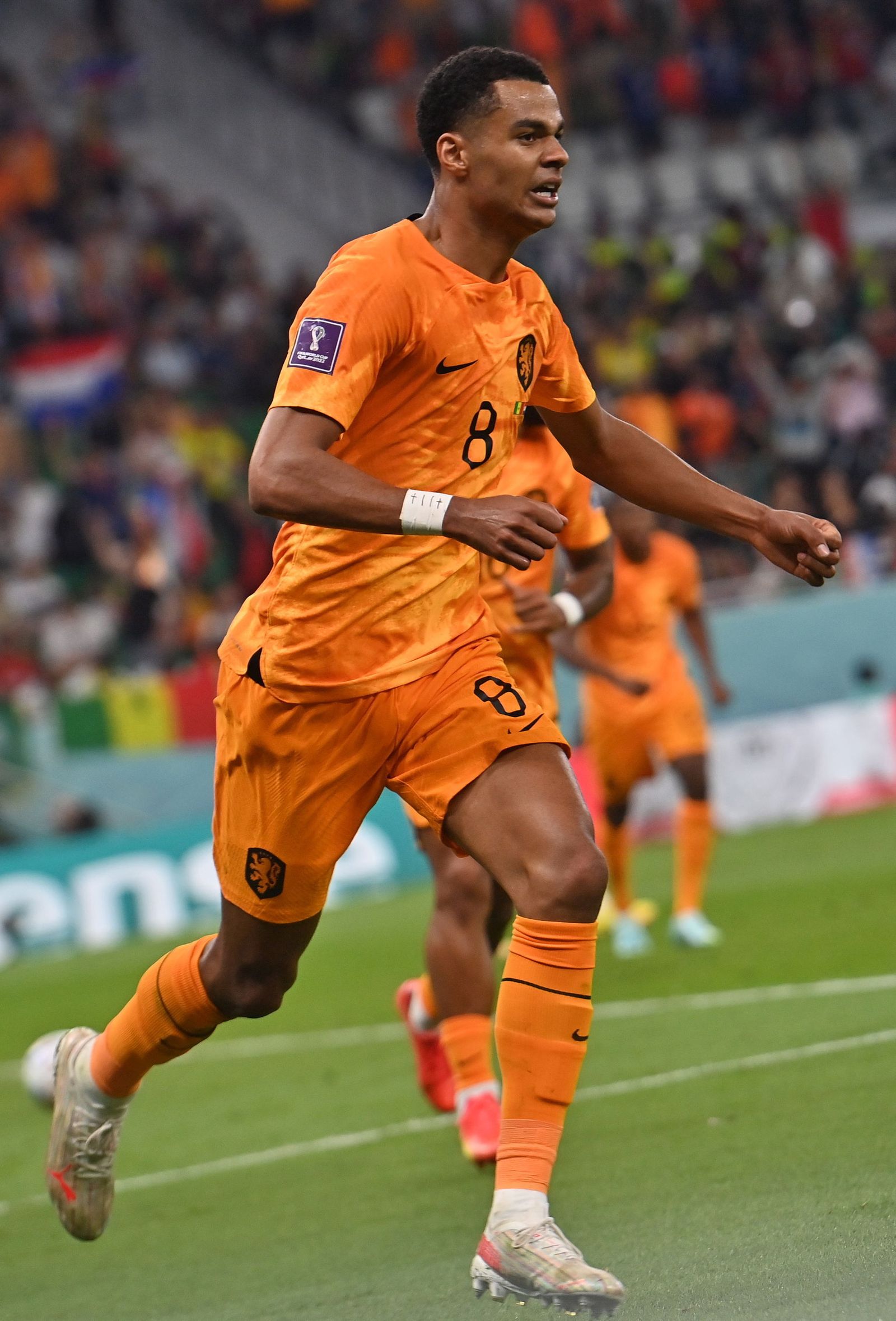 Las imágenes del Senegal - Países Bajos