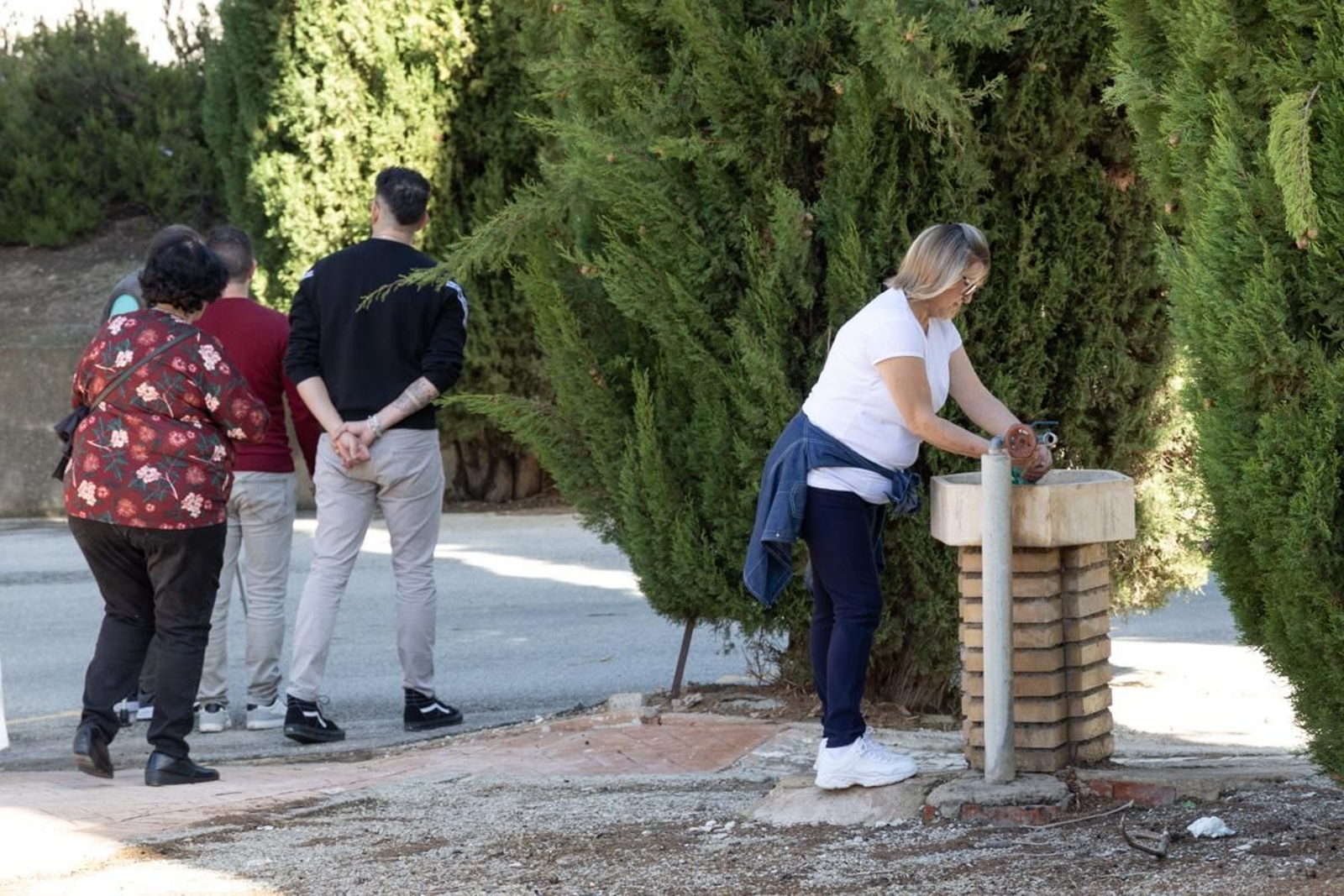 Día de Los Santos en el cementerio de San Fernando y San Eufrasio de Jaén, en imágenes
