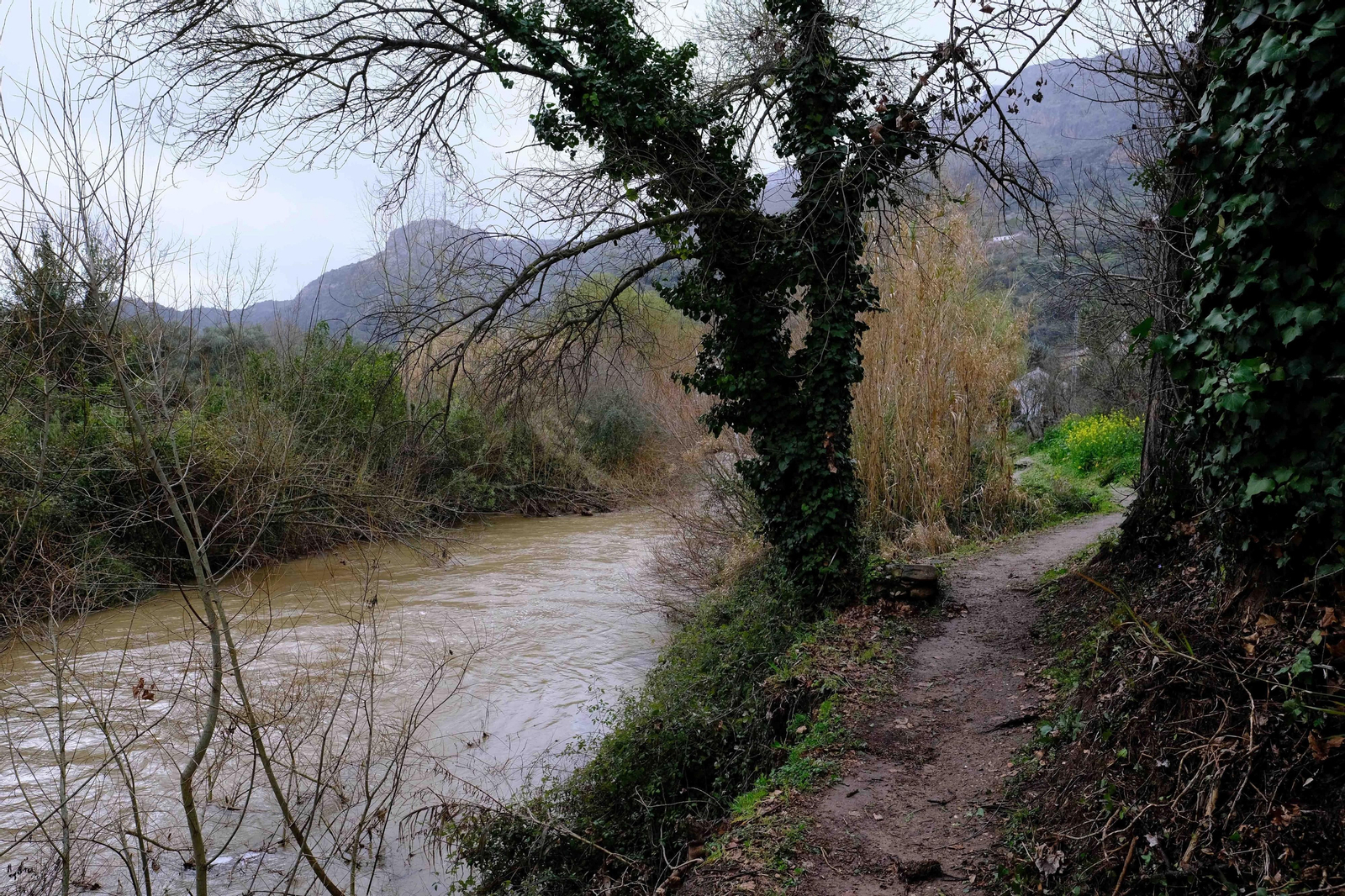 Transformación del paisaje por la lluvia, en fotos