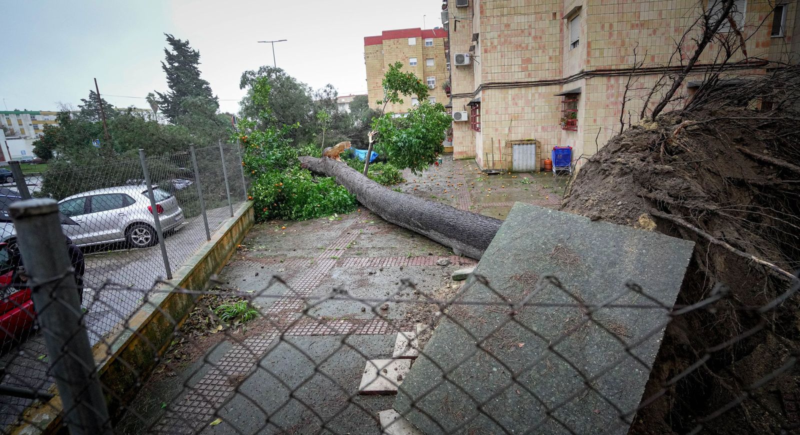 Imágenes de los efectos del temporal Kristin a su paso por Jerez
