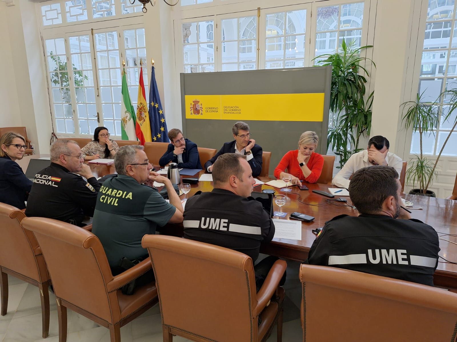 Un momento de la reunión en la delegación del Gobierno en Andalucía.