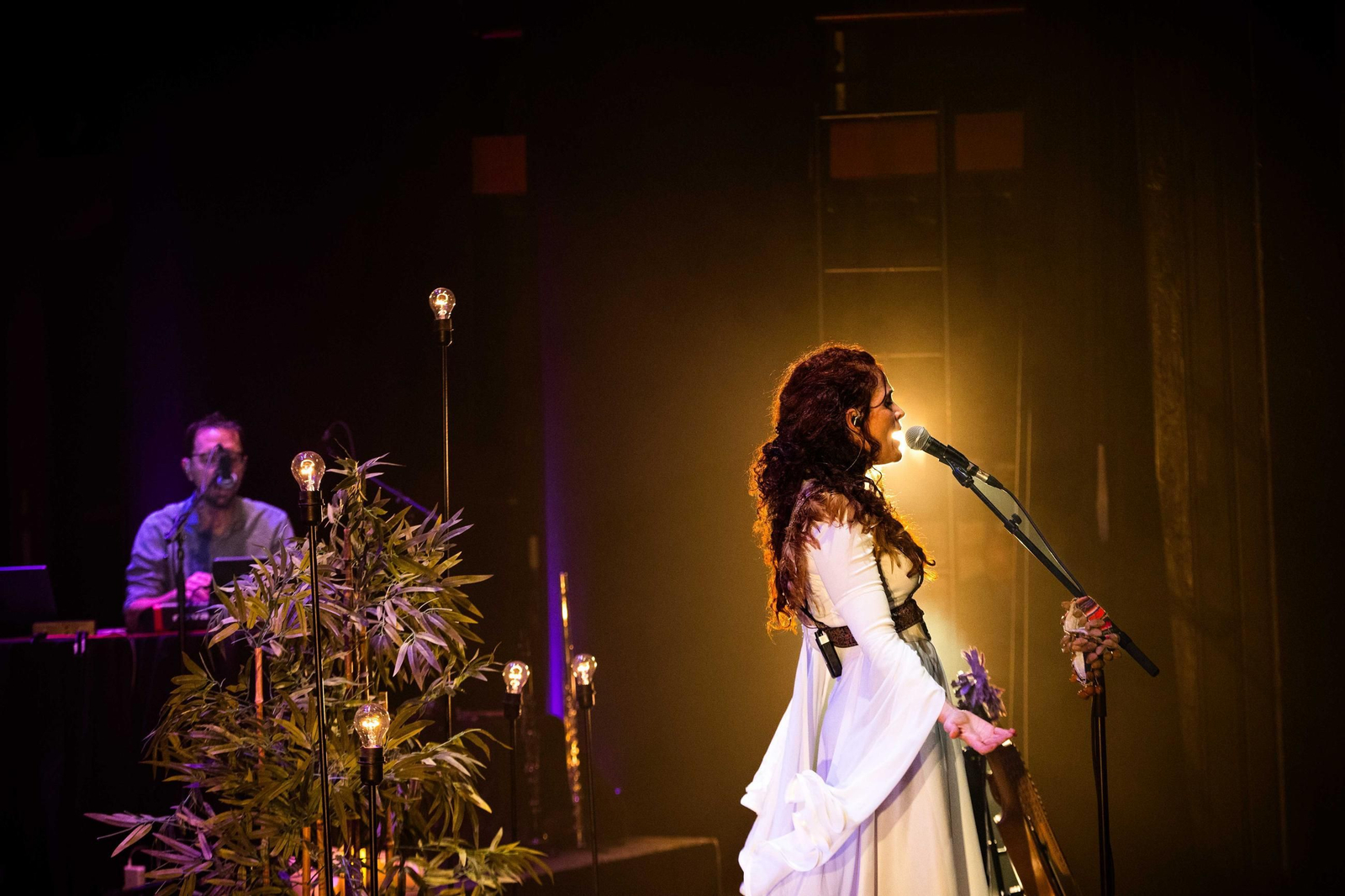 Concierto de Ana Alcaide en San Fernando